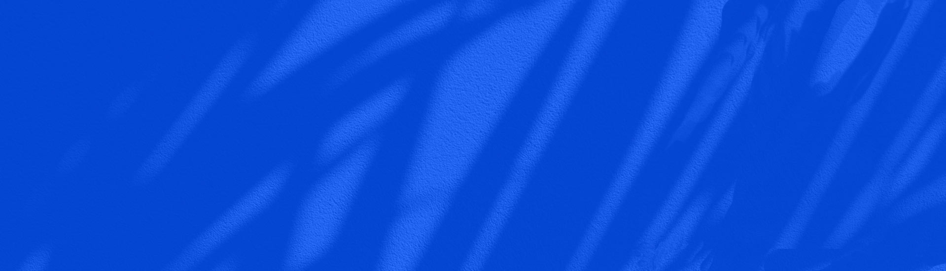 Blue Overlay with Palm Tree Shadows Background Image | Empowered Global, Inc.